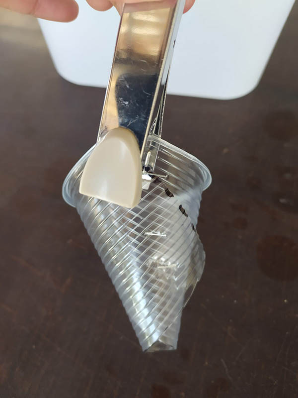 שלב שני - יצירת כוס שתילה באמצעות שדכן